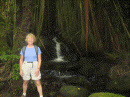 Sandy hiking in the rainforest