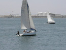 Sailing Race on San Diego Bay