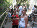 Feeding Lorikeets at the Wild Animal Park